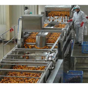 Industrial Citrus Peeler Machine Citrus Processing Line